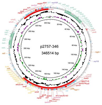 High-Level Aminoglycoside Resistance in Human Clinical Klebsiella pneumoniae Complex Isolates and Characteristics of armA-Carrying IncHI5 Plasmids